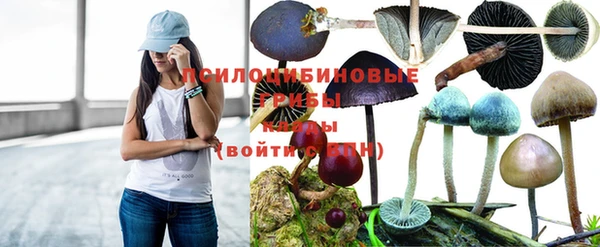 меф Новодвинск