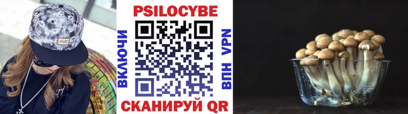 Галлюциногенные грибы GOLDEN TEACHER  Купить где  Новосиль 